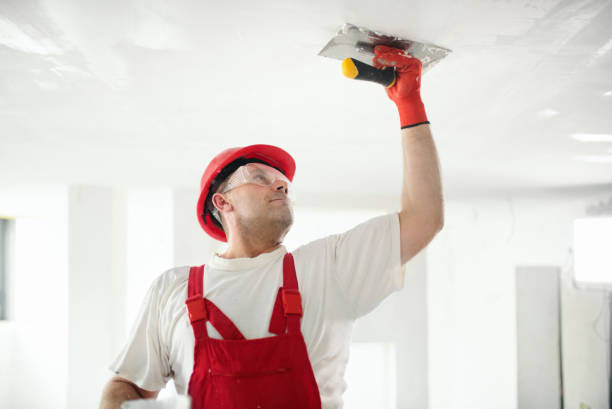 Best Water-Damaged Drywall Repair  in Desoto, TX